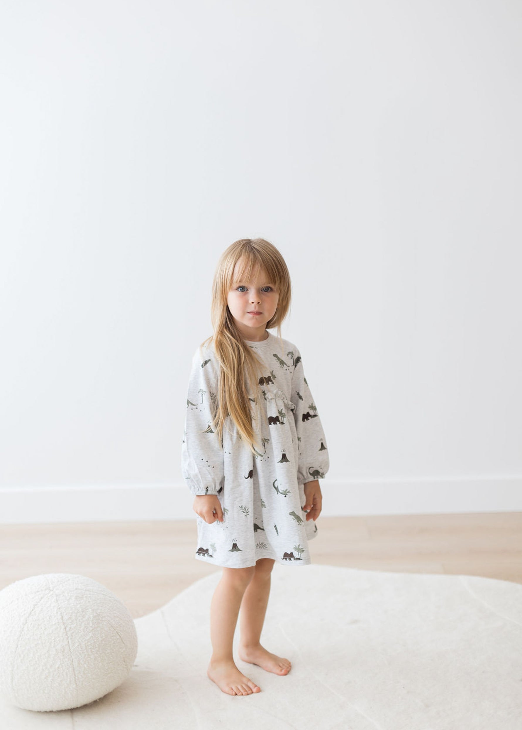 Long Sleeve Jersey Dress | Dino - Mila & Co.